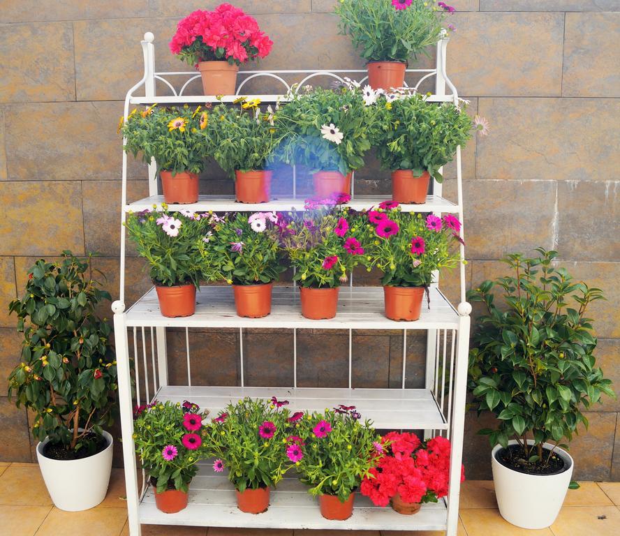 דירות טורבייחה Mi Patio מראה חיצוני תמונה