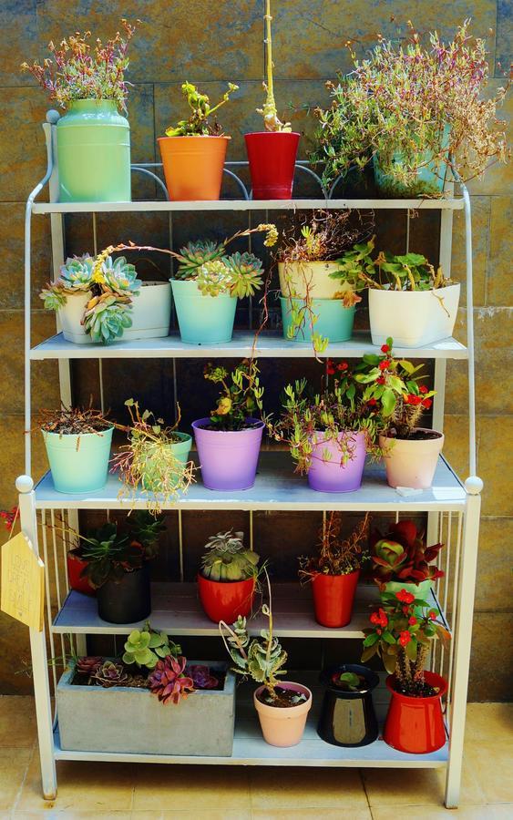 דירות טורבייחה Mi Patio מראה חיצוני תמונה